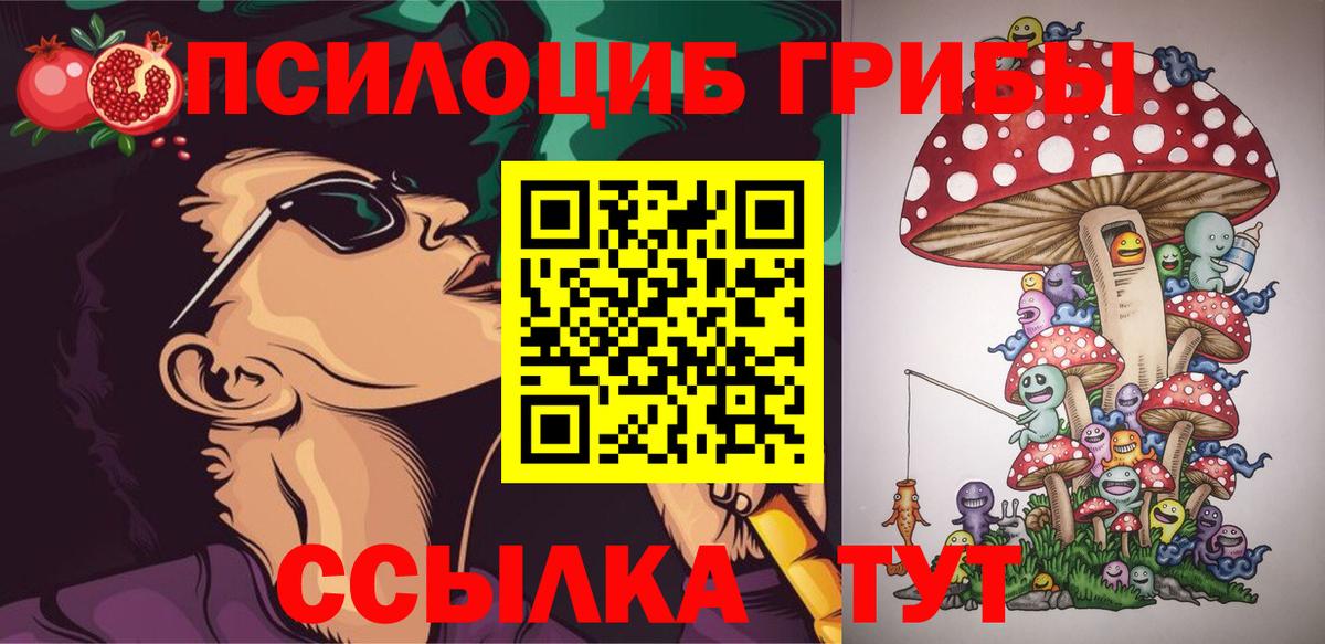 Каменск-Шахтинский  Галлюциногенные грибы мицелий  Вход с VPN  Галлюциногенные грибы мухоморы 